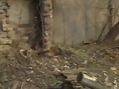 The homeless shelter with beauty