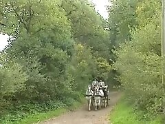 Paolina Imperial Venus