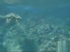 Brittany Shae Is Horny For You The Whole Time In Hawaii