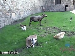 Serena Hill in Virtual Vacation Movie - AtkGirlfriends